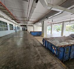 Serangoon North Avenue 5 (D19), Factory #455326531